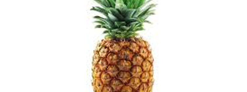 piña de piña