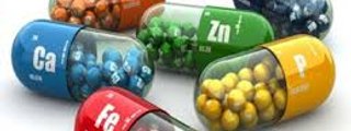 Suplementos nutricionales