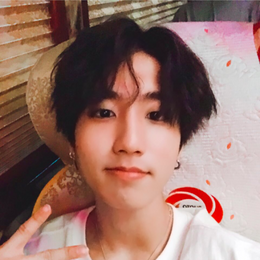 &iquest;quien emite sonidos de delfin cuando chilla? - &iquest;cuanto sabes de stray kids?