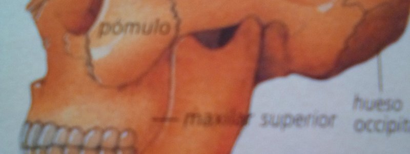 Quién es tu doble malvado en la biblia?