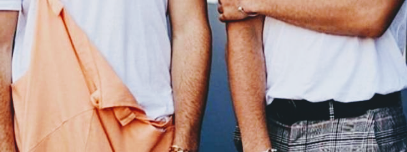 Que tanto conoces a los gemeliers??
