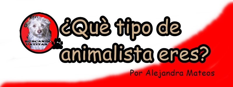 ¿Què tipo de animalista eres?