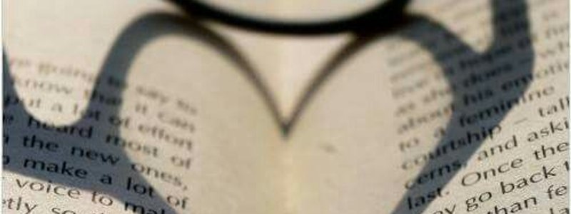 ¿Qué personaje de la novela Los amores de Lisa eres?