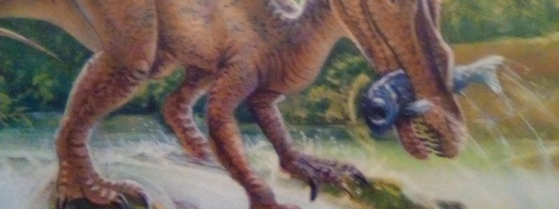 De qué periodo prehistórico eres?