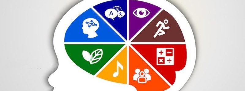 Test de Inteligencias Multiples