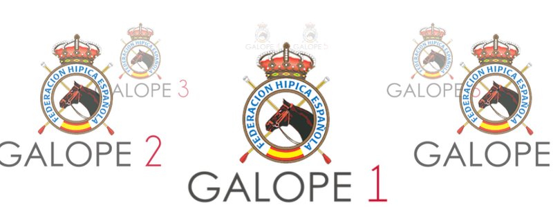 Examen de galopes 1