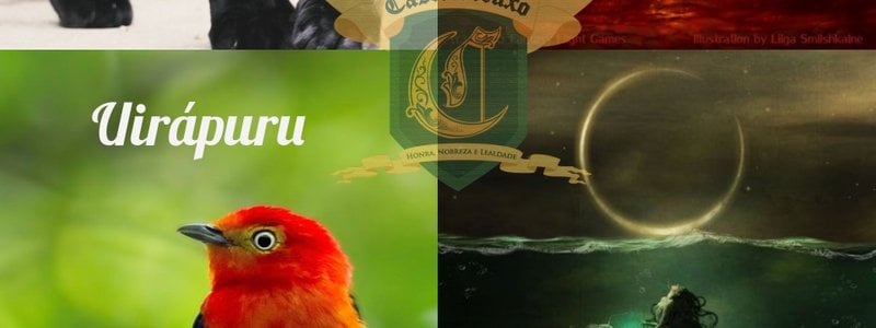 &iquest;Cu&aacute;l es tu casa de Castelobruxo?