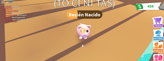test de calabazinoyt