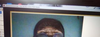 Que hominido fuiste en tu anterior vida?
