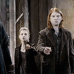 &iquest;En que pa&iacute;ses estaban Bill y Charlie? - 2-Harry Potter y la c&aacute;mara secreta (29/05/2020)