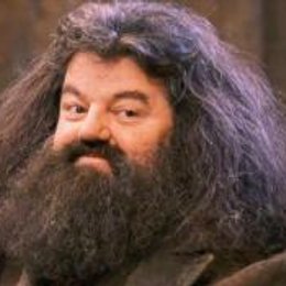 &iquest;En que curso expulsaron a Hagrid de Hogwarts? - 2-Harry Potter y la c&aacute;mara secreta (29/05/2020)