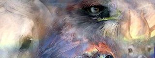 ¿ Cual es tu espiritu animal?