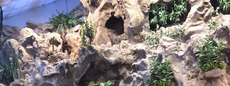 Que persona de Fortnite eres