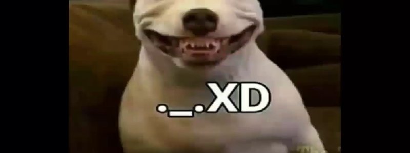 إيكولاسإيكولاس