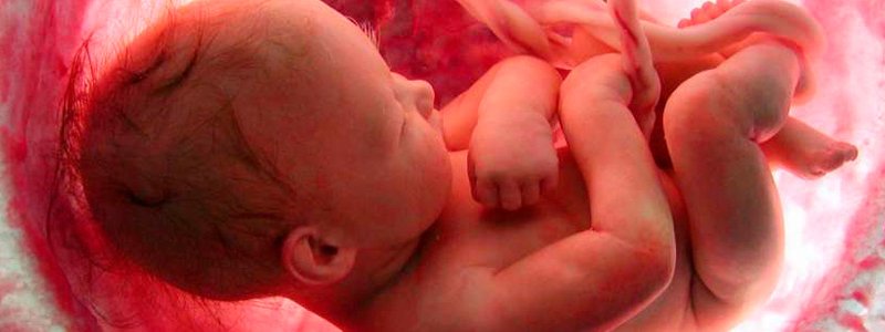 DEL TERCER MES AL NACIMIENTO: FETO Y PLACENTA 