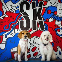 Como se llaman sus maSKotas  - Cuanto sabes de los Skabechos