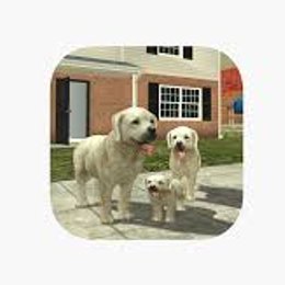 &iquest;A que edad se puede jugar turbo roket games - que tanto conoces de los juegos marca turbo roket games