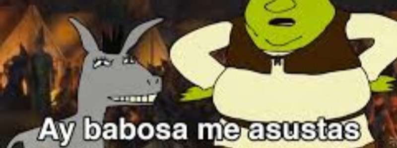 que tan estupido eres