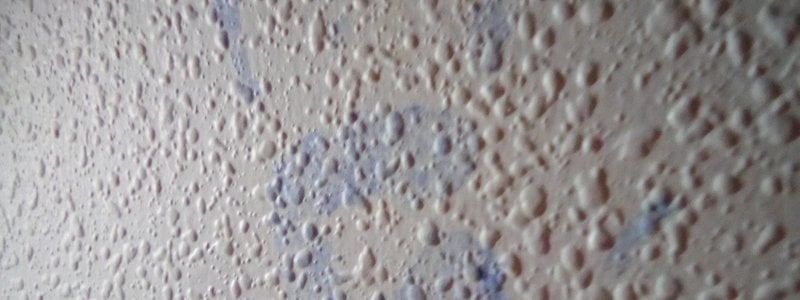 Que hominido de la edad de los Picapiedras eres?