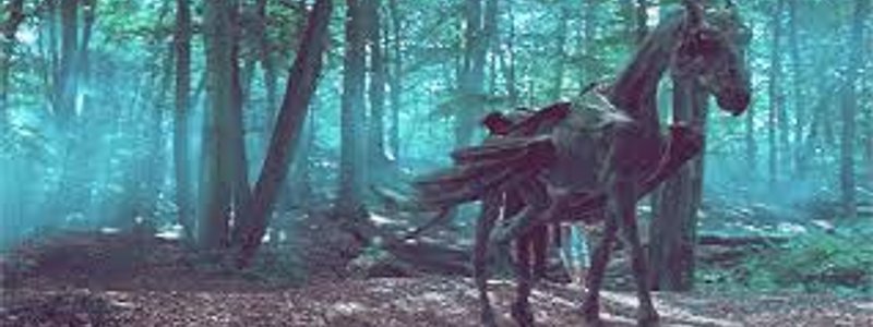 Que personaje de harry potter sos