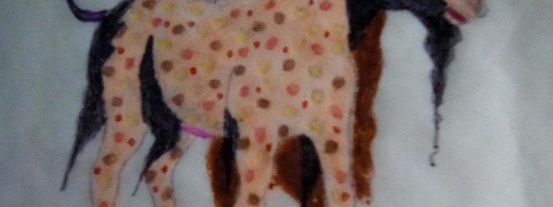 Que evoluci&oacute;n eres?