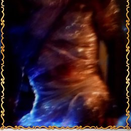 Homo rudolfensis - Que hom&iacute;nidos eres?