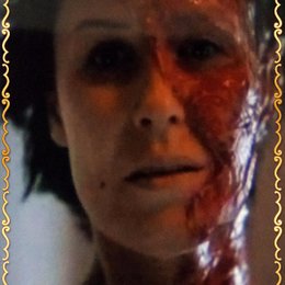 Homo georgicus - Que hom&iacute;nidos eres?