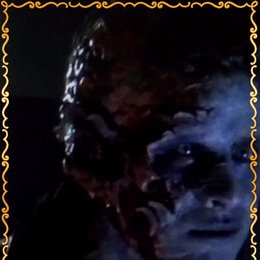 Homo erectus - Que hom&iacute;nidos eres?