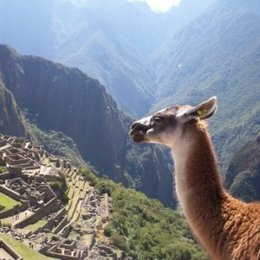 Las principales caracter&iacute;sticas de su arquitectura fueron: - Test Cultura Inca