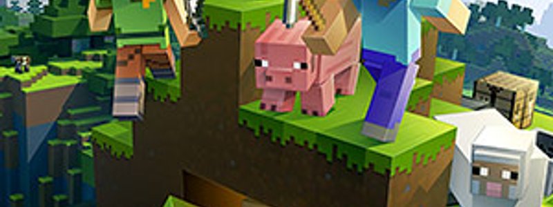 cuanto sabes de minecraft