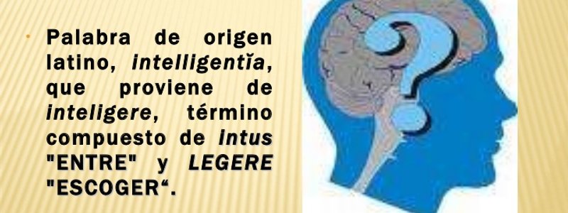 el test definitivo de inteligencia