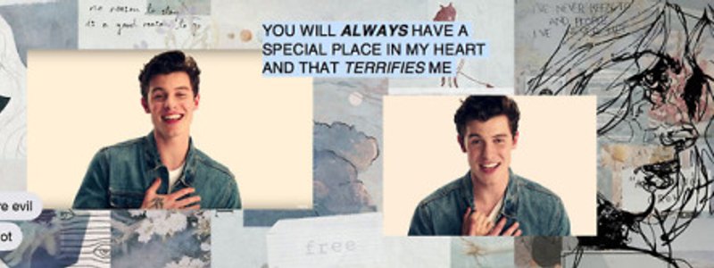 ¿Qué tanto conoces de shawn mendes?