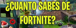 CUANTO SABES SOBRE FORTNITE