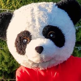 Quien es panda - Cu&aacute;nto conoces a yolo aventuras