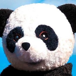 Cuando fue la primera vez que panda mostr&oacute; su cara - Cu&aacute;nto conoces a yolo aventuras
