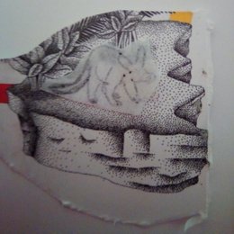 Los tubulidentados tuvieron dos hijos los quiropteros - Evolu