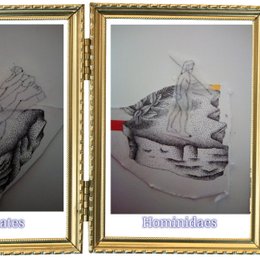 Los hominidaes evolucionaron al hombre Ad&aacute;n y Evan  el hombre y los primates a los animales - Evolu