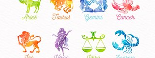¿Que animal eres?