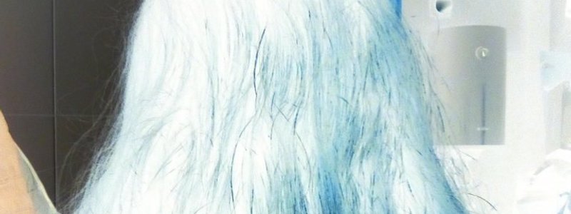 En el zod&iacute;aco hay cuatro direcciones evolutivas