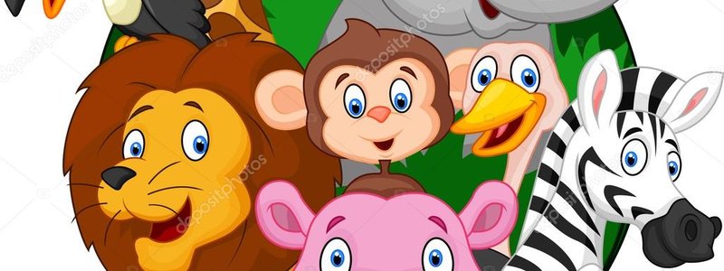 ¿Que animal eres ? 
