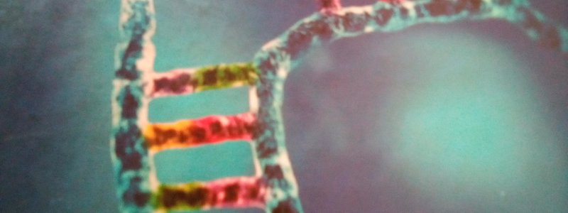 Que personaje de bola de dragon eres?