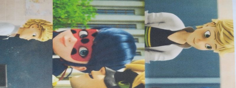 Ladybug