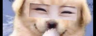 Qué WheeIn eres