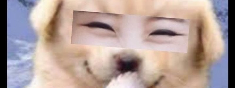 Qué WheeIn eres