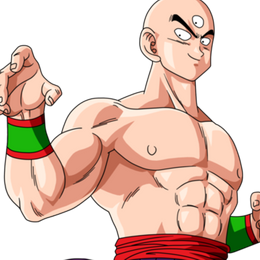 &iquest;Cu&aacute;l es el n&uacute;mero del torneo en el que Tenshinhan sali&oacute; vencedor? - Test de Dragon ball DIF&Iacute;CIL