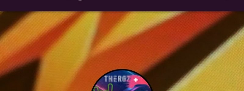 Examen de Thergz YT
