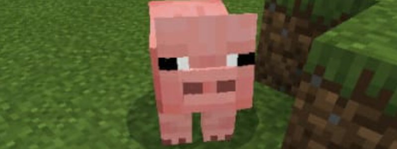 Test de minecraft 