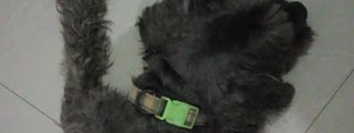Que tanto te interesa el físico de alguien