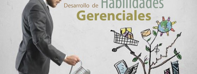 HABILIDADES GERENCIALES Y RECURSOS HUMANOS