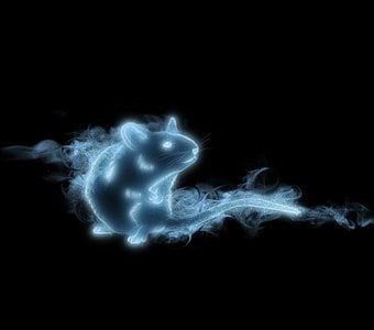 Resultado de &iquest;Cual es tu Patronus?